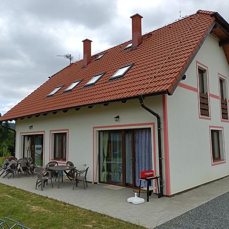 Apartmany U Olsinske Kaplicky Horní Planá Esterno foto