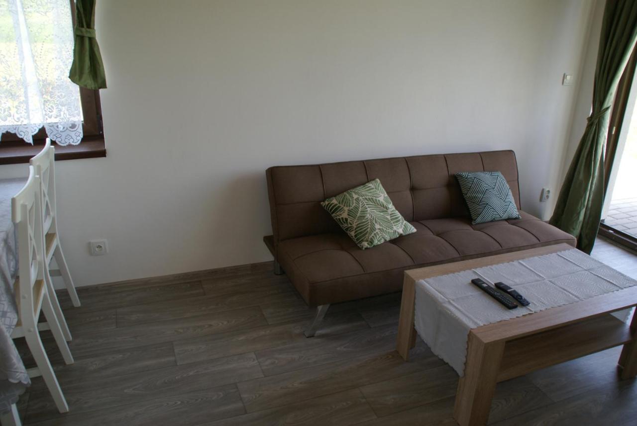 Apartmany U Olsinske Kaplicky Horní Planá Esterno foto