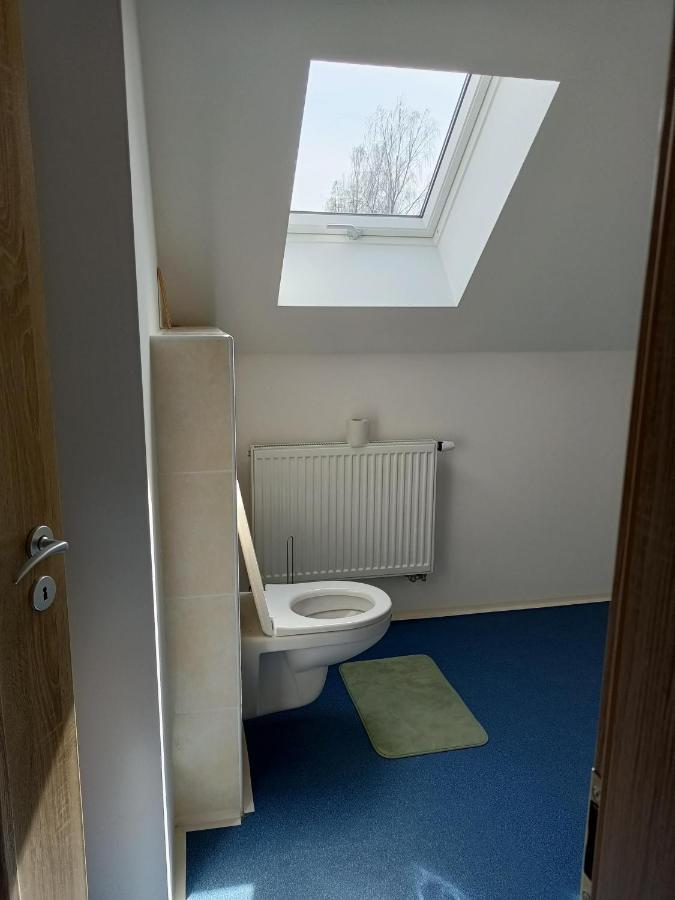 Apartmany U Olsinske Kaplicky Horní Planá Esterno foto