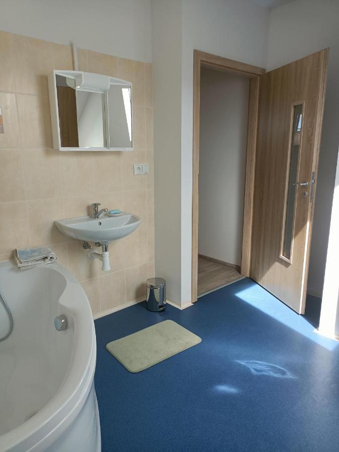 Apartmany U Olsinske Kaplicky Horní Planá Esterno foto