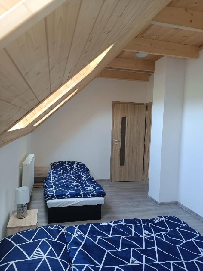 Apartmany U Olsinske Kaplicky Horní Planá Esterno foto