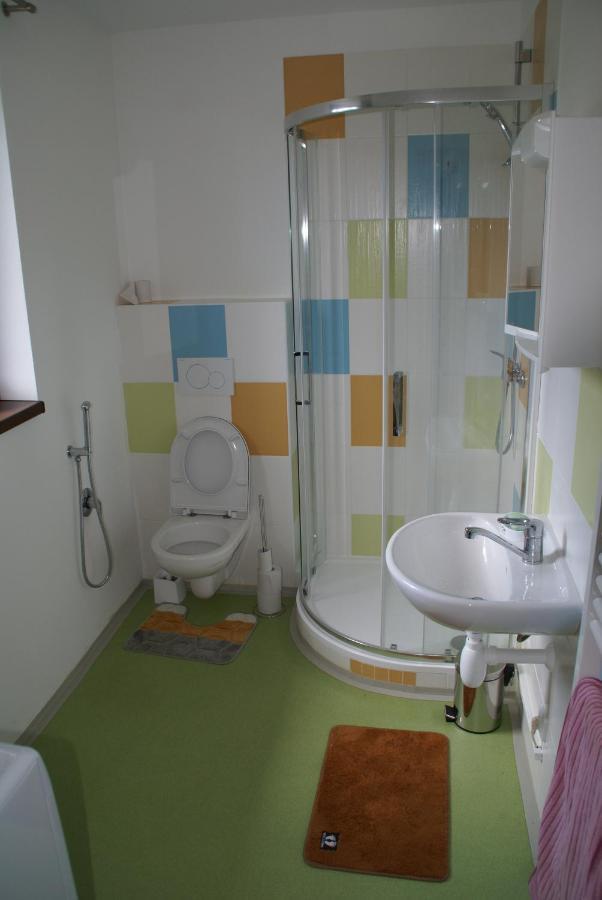 Apartmany U Olsinske Kaplicky Horní Planá Esterno foto