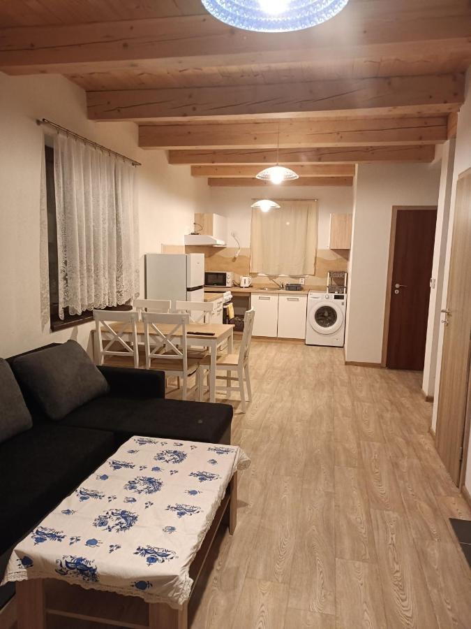 Apartmany U Olsinske Kaplicky Horní Planá Esterno foto